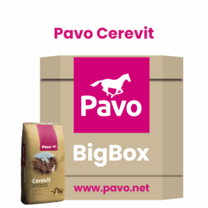 Pavo AllSports BigBox 725